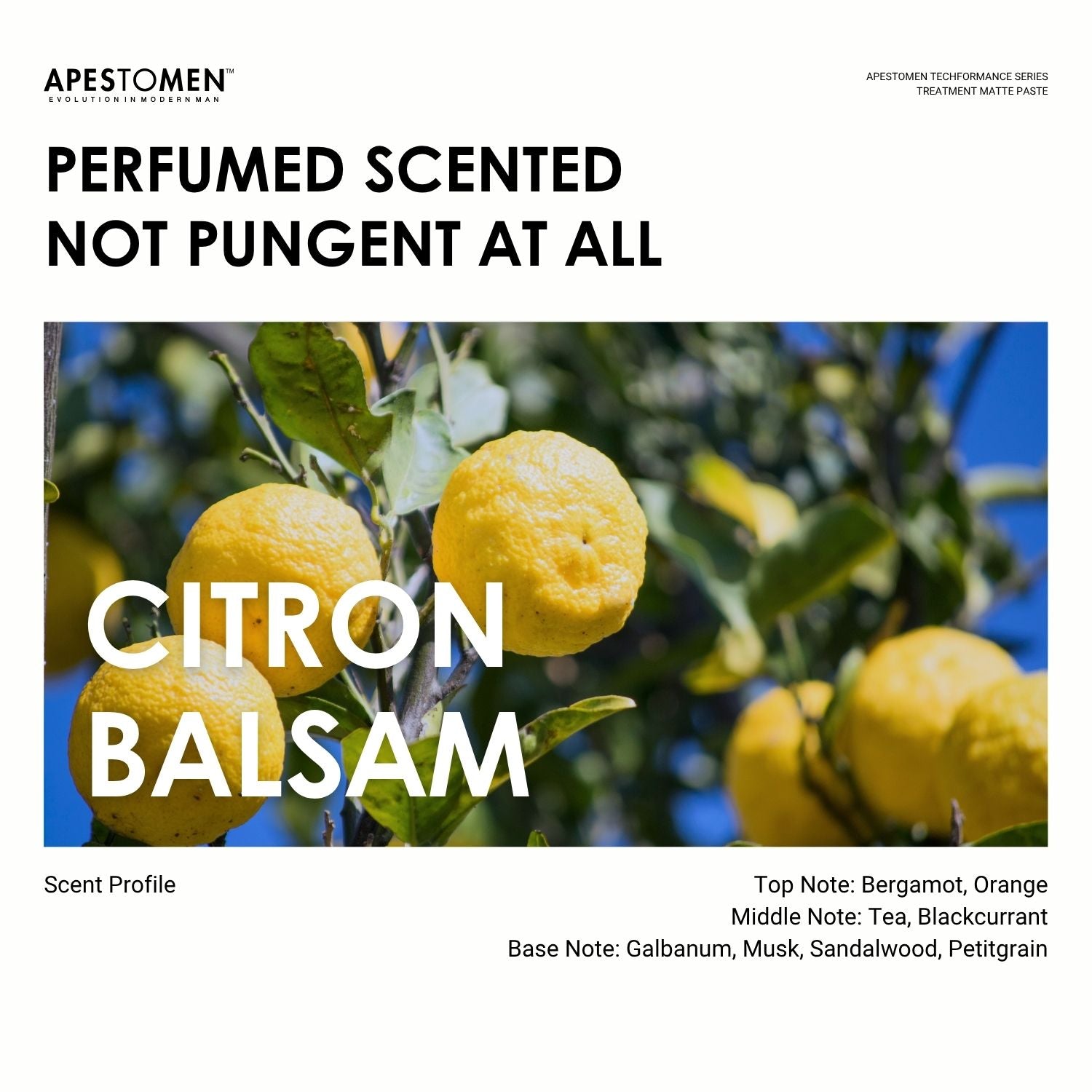 Apestomen Treatment Matte Paste